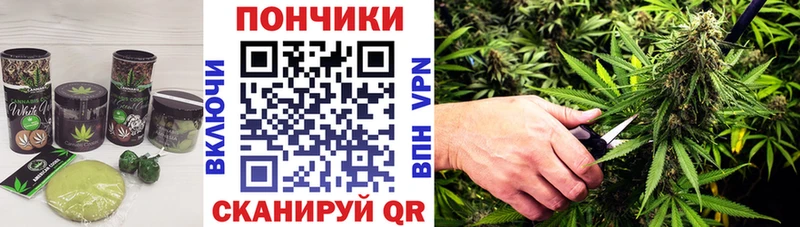 Canna-Cookies марихуана Ефремов