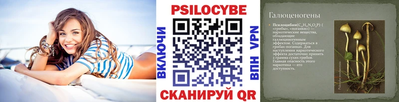 Галлюциногенные грибы Psilocybine cubensis  Ефремов 